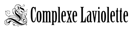 Logo Complexe Laviolette